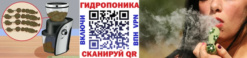 Canna-Cookies конопля  Фрязино 