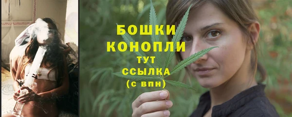 гидра Лагань
