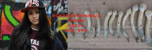 соль ск Лиски