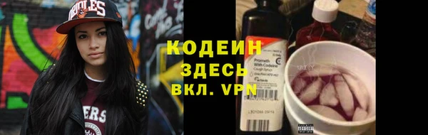 прущие грибы Богданович