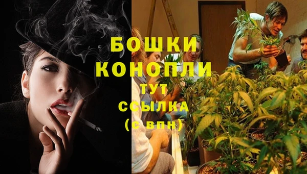 соль ск Лиски
