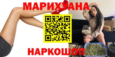 сатива Краснознаменск
