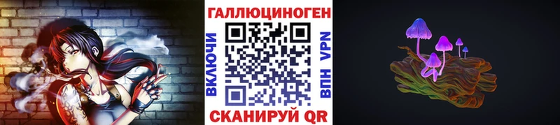 где найти   Фрязино  Псилоцибиновые грибы мицелий 