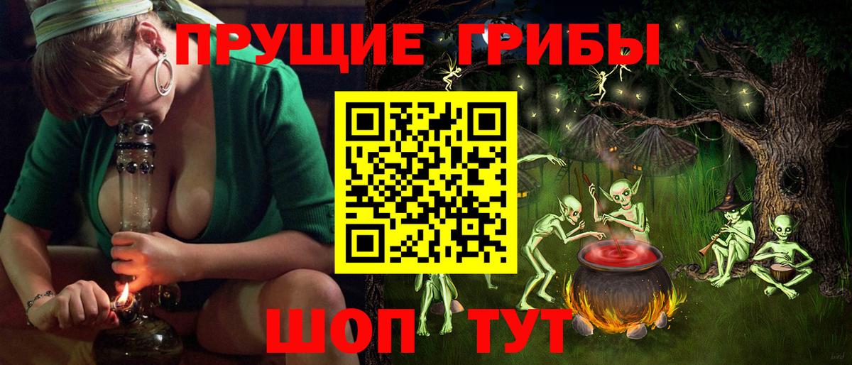 Псилоцибиновые грибы GOLDEN TEACHER Фрязино