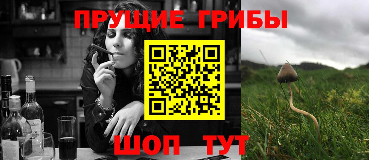 Псилоцибиновые грибы MAGIC MUSHROOMS  Псилоцибиновые грибы прущие грибы  Фрязино  Вход с VPN 