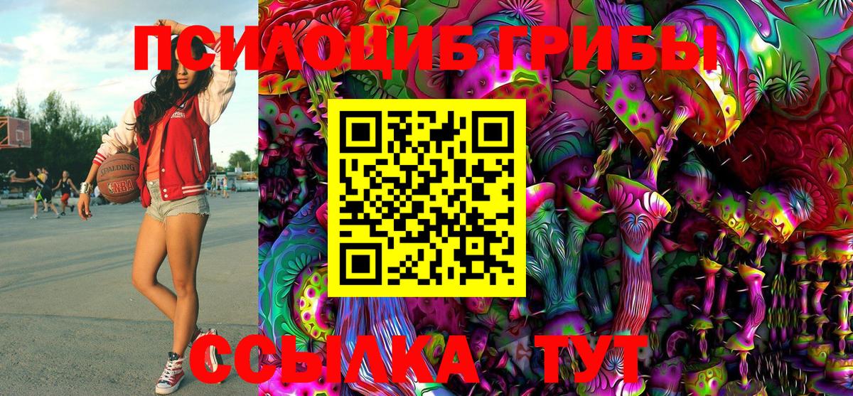 Галлюциногенные грибы MAGIC MUSHROOMS  даркнет сайт  Фрязино 