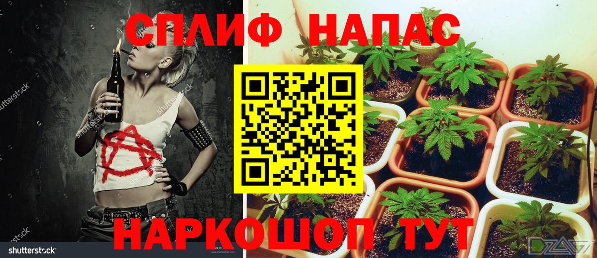 Меф МЯУ МЯУ кристаллы  Фрязино  Канабис  COCAIN  Вход с VPN  ГАШ 